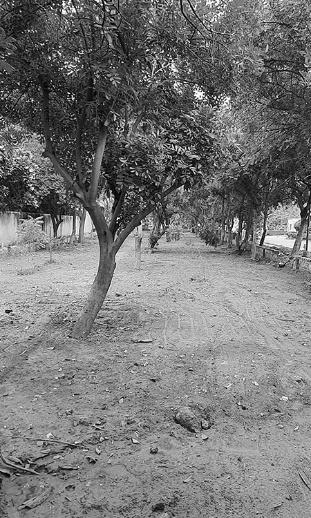 Village