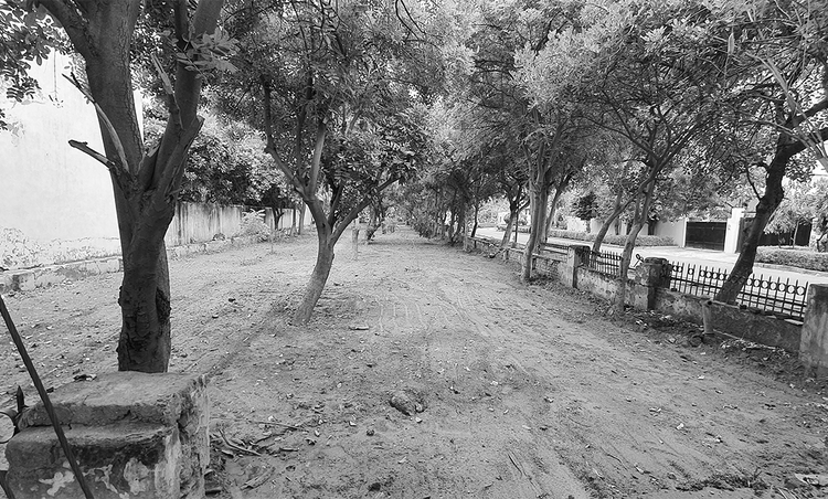 Village Image